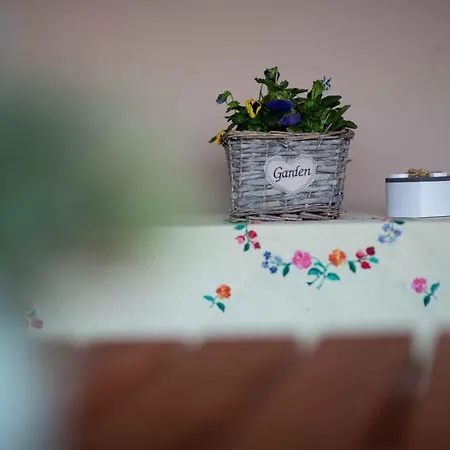 Kata * Szanda